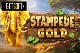 Game 8 N1Bet Casino